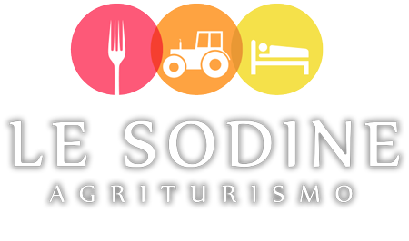 logo slider le sodine ristorante frosinone